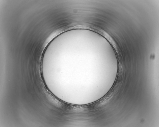 X0000093091002200710241157