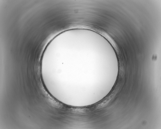 X0000093091004200710241157