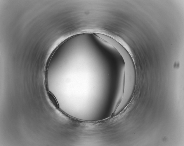 X0000093091005200710241157
