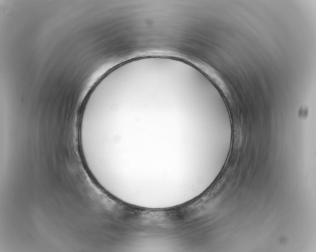 X0000093091006200710241157