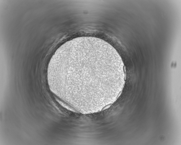 X0000093091009200710241156