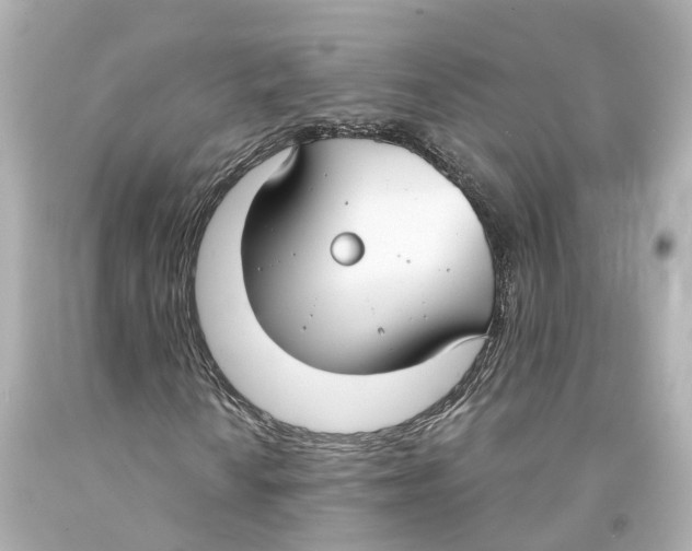 X0000093091010200710241156