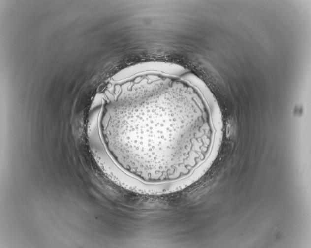 X0000093091011200710241156