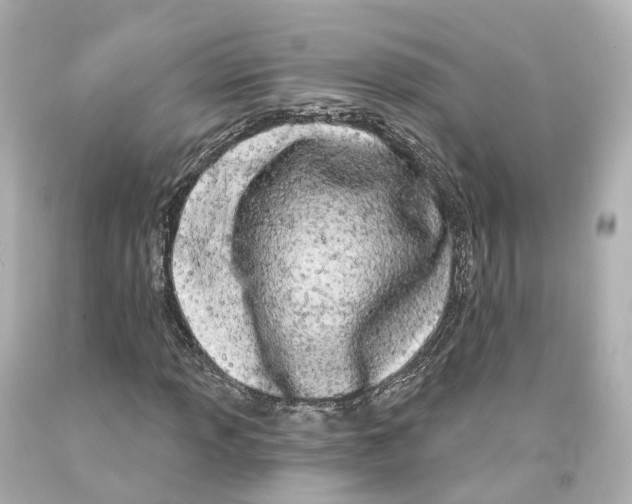 X0000093091013200710241156