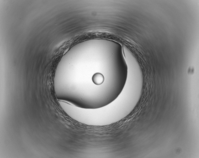 X0000093091014200710241156