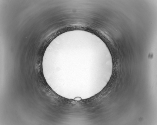 X0000093091015200710241156
