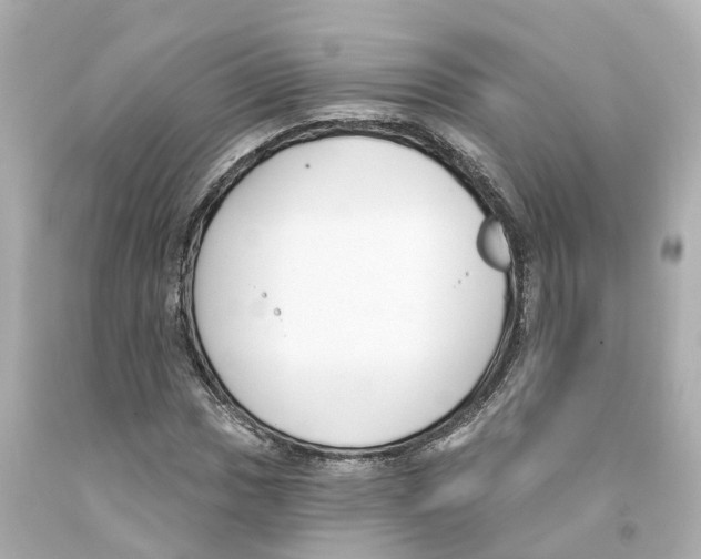X0000093091017200710241156