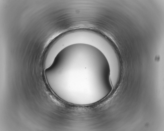 X0000093091018200710241156