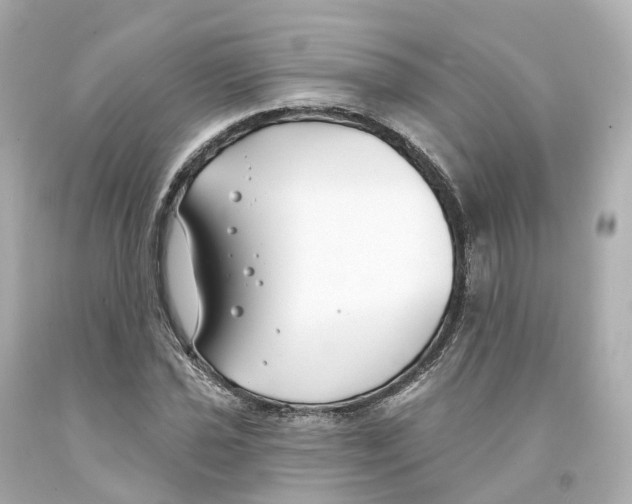 X0000093091021200710241156