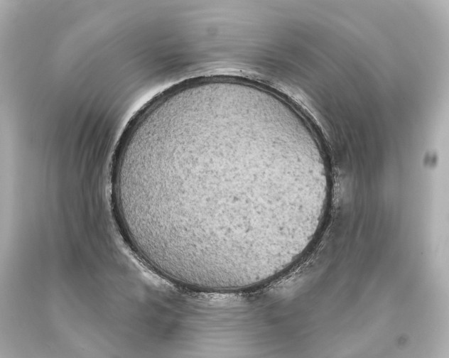 X0000093091024200710241156