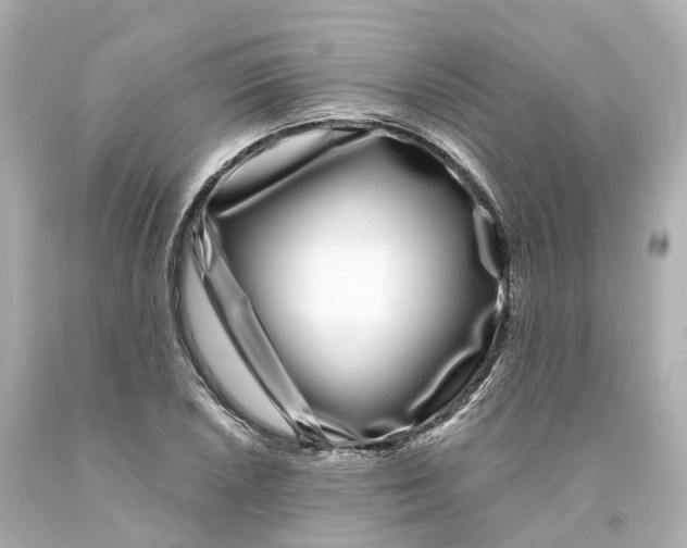 X0000093091026200710241156