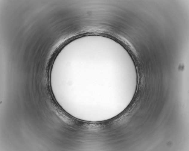 X0000093091027200710241156
