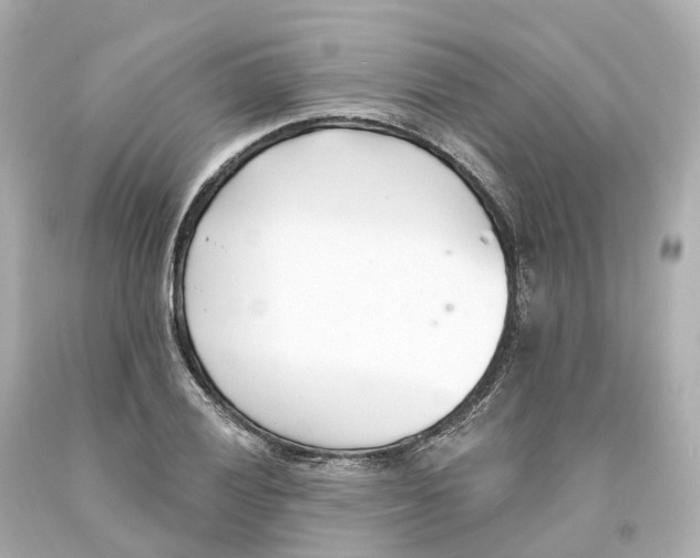 X0000093091028200710241156