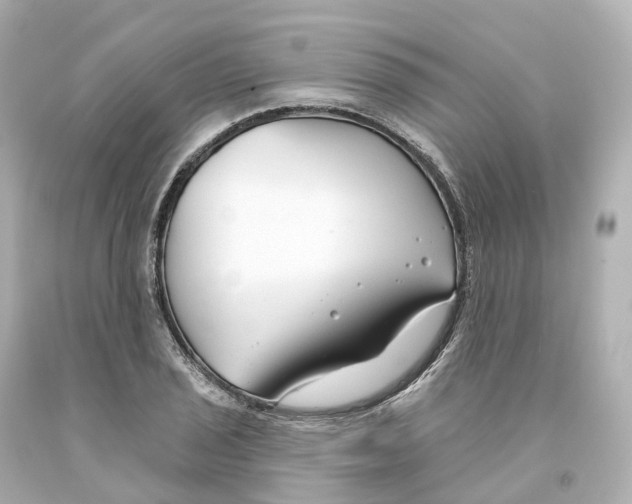 X0000093091029200710241156