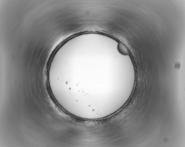 X0000093091032200710241156