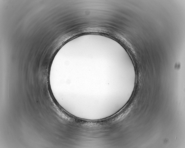 X0000093091033200710241156