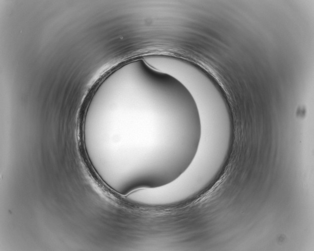 X0000093091034200710241156
