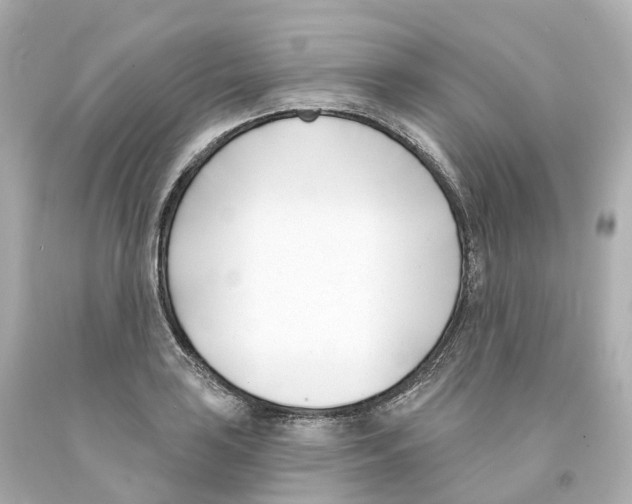 X0000093091035200710241156