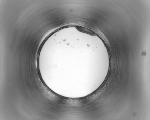 X0000093091036200710241156