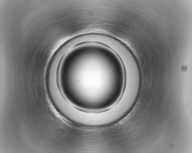 X0000093091038200710241156