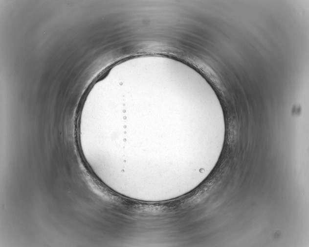 X0000093091039200710241156