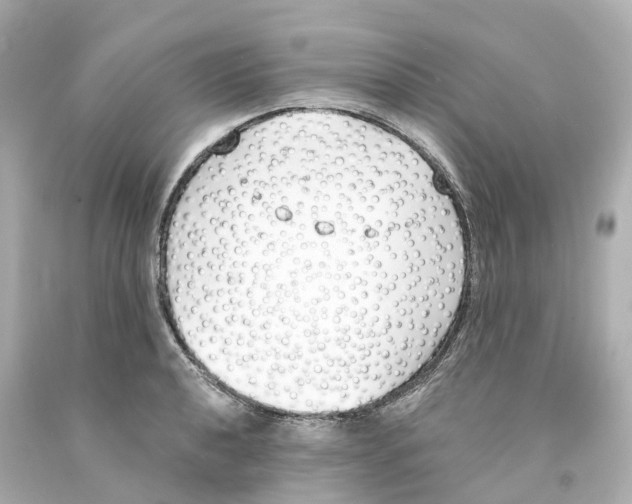 X0000093091040200710241156
