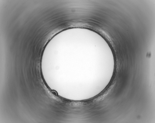 X0000093091041200710241156