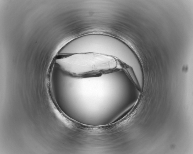 X0000093091042200710241156