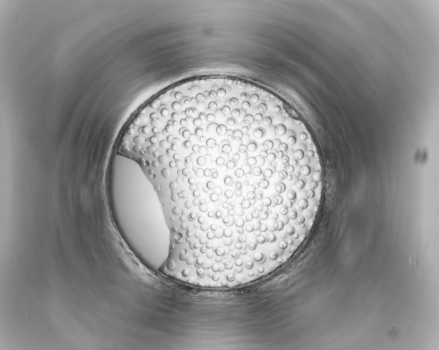 X0000093091044200710241157