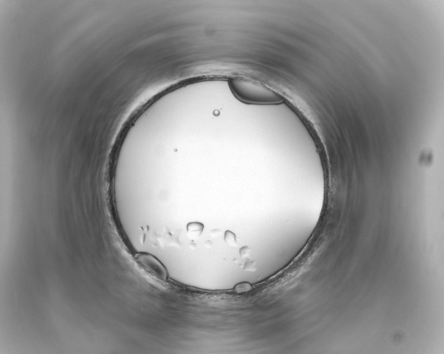 X0000093091045200710241157