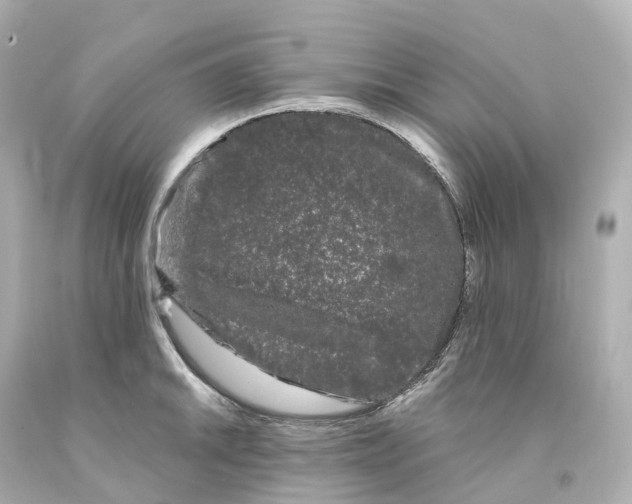X0000093091046200710241157