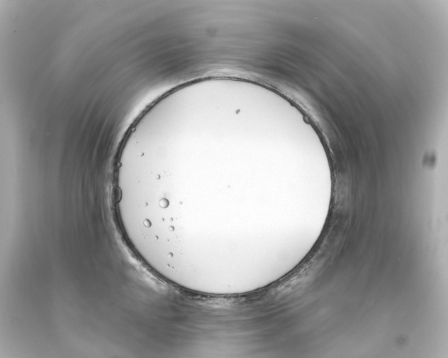 X0000093091048200710241157