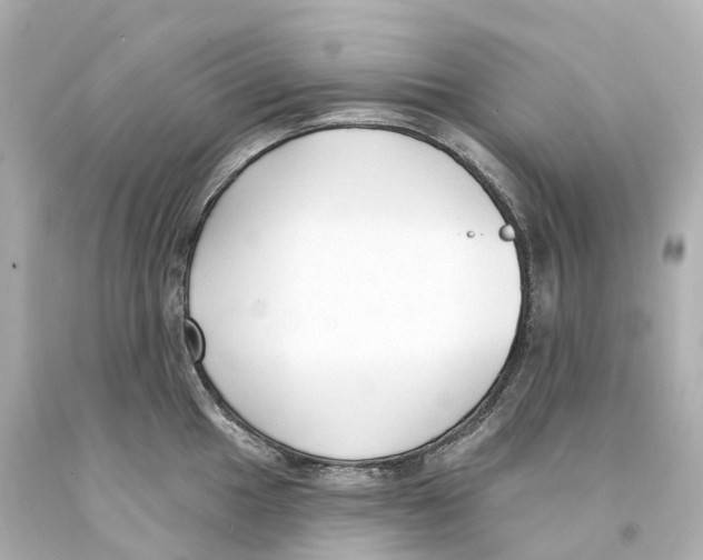 X0000093091049200710241157