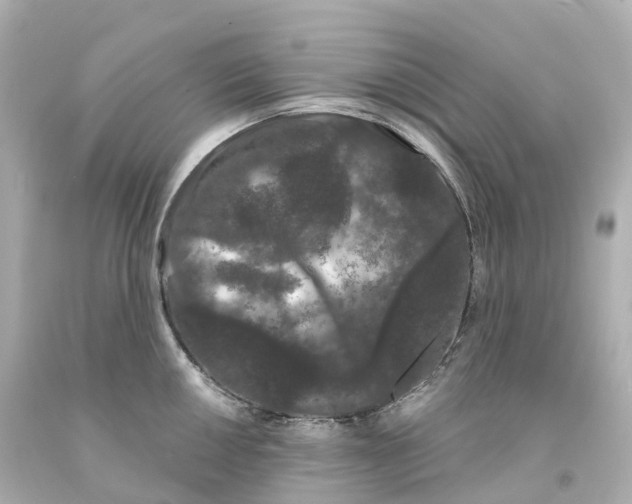 X0000093091050200710241157