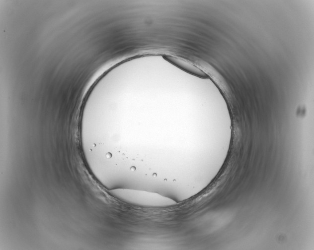 X0000093091052200710241157