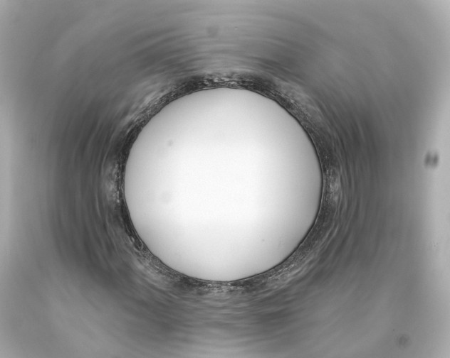 X0000093091060200710241156