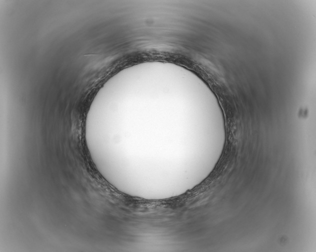 X0000093091061200710241156