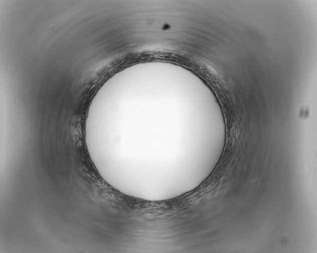 X0000093091062200710241156