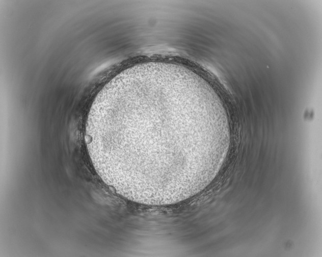X0000093091063200710241156