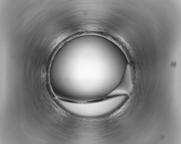 X0000093091065200710241156