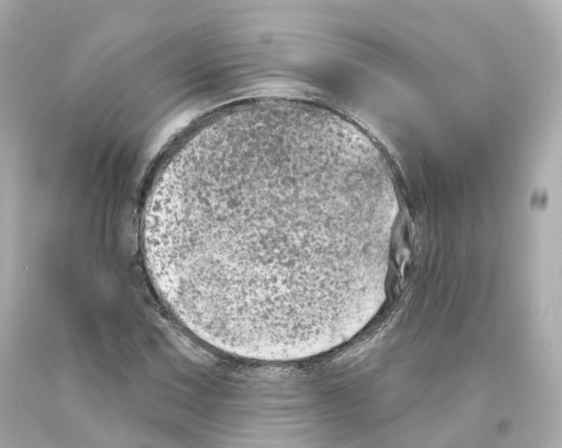 X0000093091067200710241156