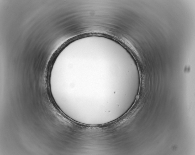X0000093091068200710241156