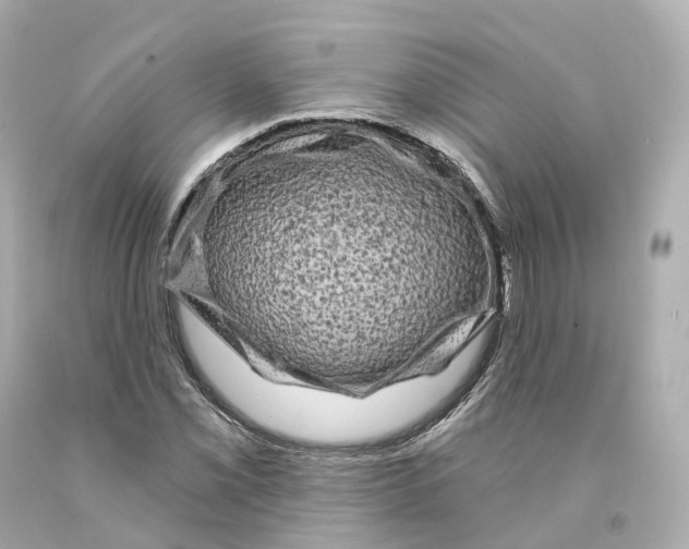 X0000093091069200710241156