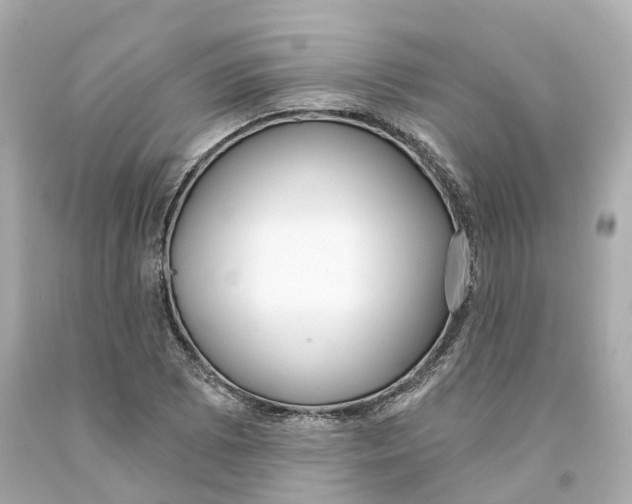 X0000093091073200710241156