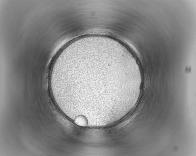 X0000093091075200710241156