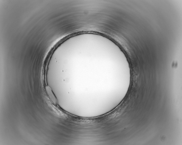 X0000093091076200710241156