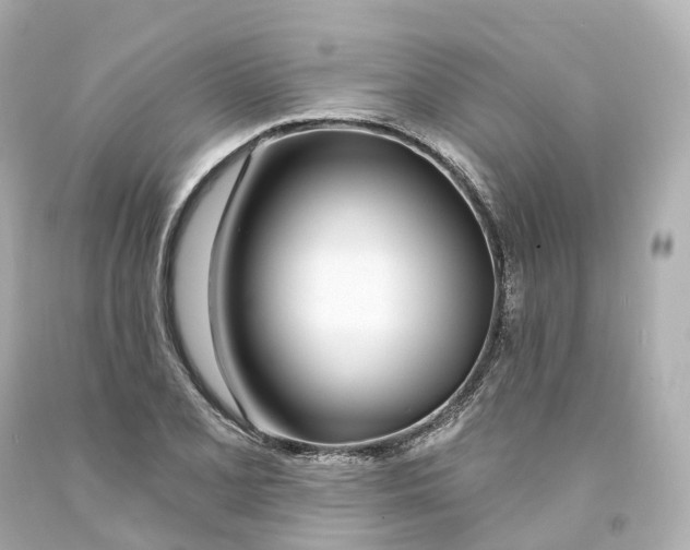 X0000093091077200710241156