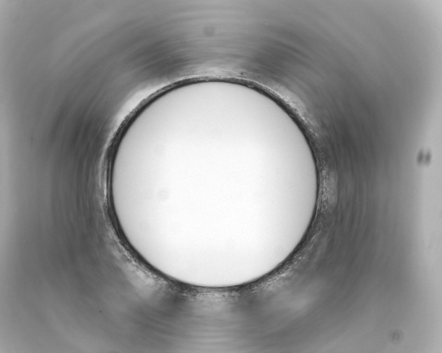 X0000093091078200710241156