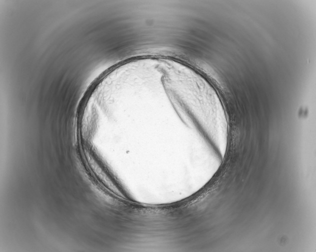 X0000093091079200710241156