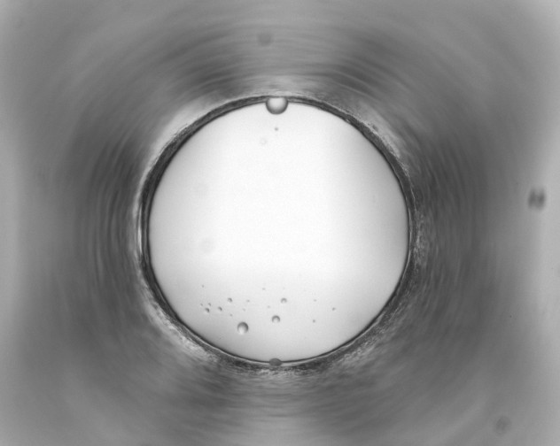 X0000093091080200710241156